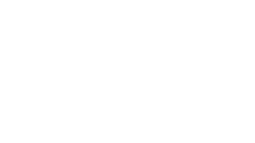 Stampy_Xicos.png